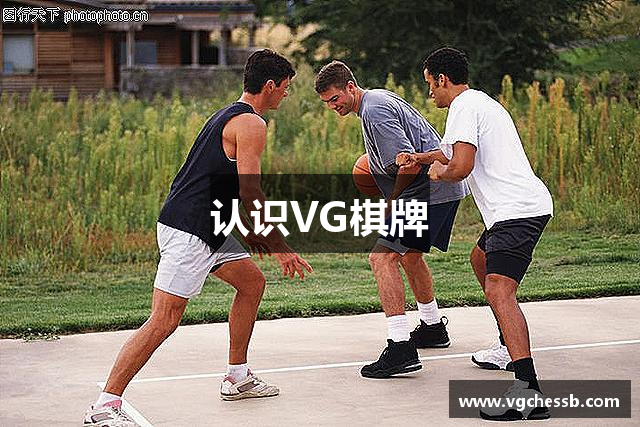 认识VG棋牌